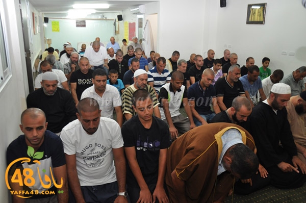 mohamed elfatekh3 (12).JPG